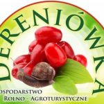 Rodzinne weekendy w „Dereniówce”