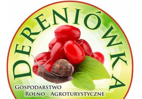 Rodzinne weekendy w „Dereniówce”